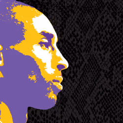 THE BLACK MAMBA 8.24