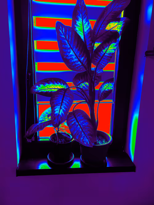 Item #29833490630592061709804377933106005339379197139904621755478585612435674103809 Media