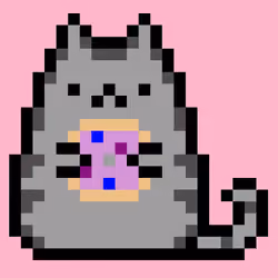 PusheenCookie