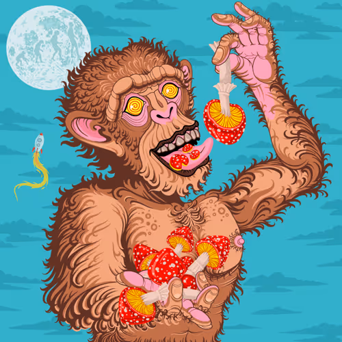 Item #16119877760501292309973729803484406804180950439751927273251274121039776317441 Media