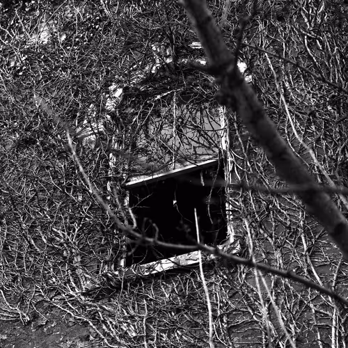 If You Love Me, Tell Me Right Now