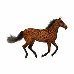 Abstract giraffe-horse!