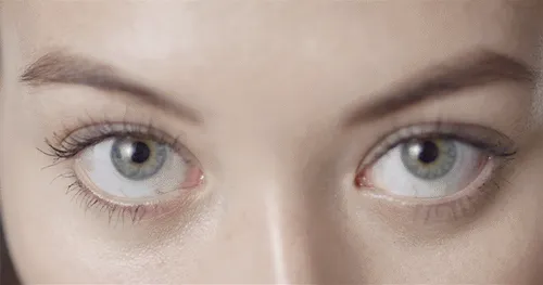 Item #114091279957330982022734478648167430968491445987545800607311341350106469236737 Media