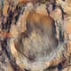 88159474278040781364026816887642860733151997131637457301100969826058416160769