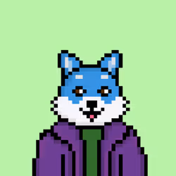 80838881153936851306927361192121537126509041970999706013957534834715636269057