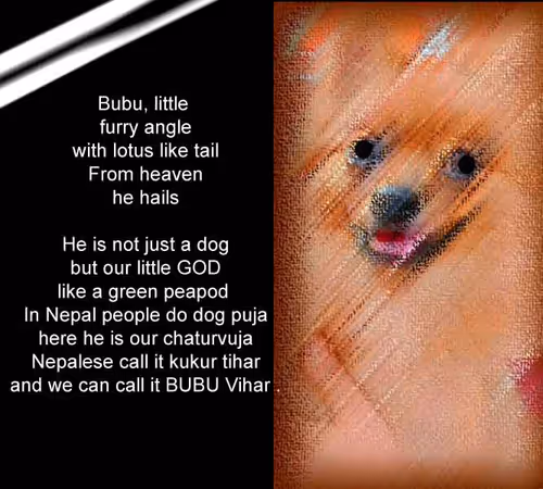 Item #105607047596885797384752066236887124559921076798400251528081786490193658773505 Media