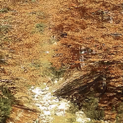 Texture Tree