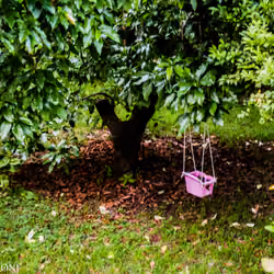 swinging in the pink