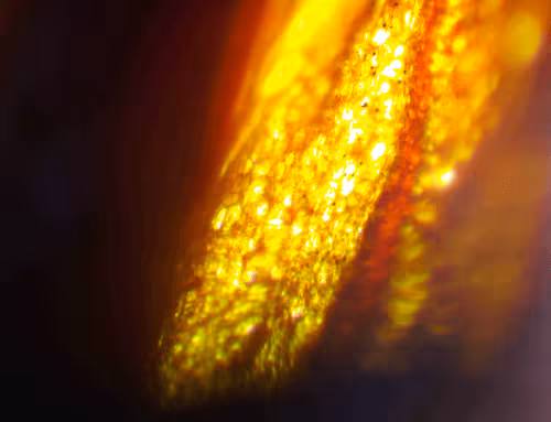 Item #71646257518770613568983710813551014237803002136866425209291833794297121996801 Media