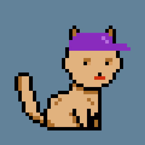 PunkCat #88