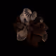 79964747207383408841687476301859253524829289550061429819861425237931126161409