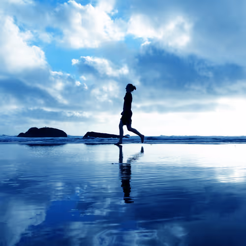 Blue Sea Collection