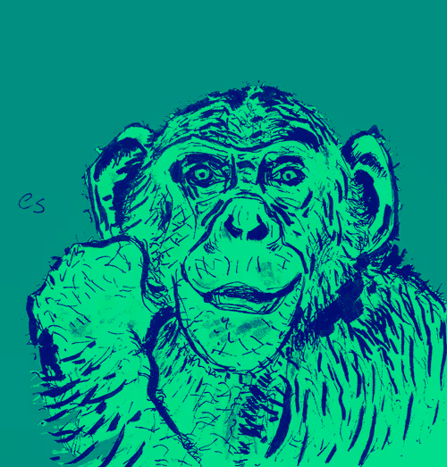 Item #39091703505809475788956350880894769302011138939225893693019847040976046522369 Media