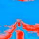 21292834010161875077154841475470990365697769448695688905842924798778705707009