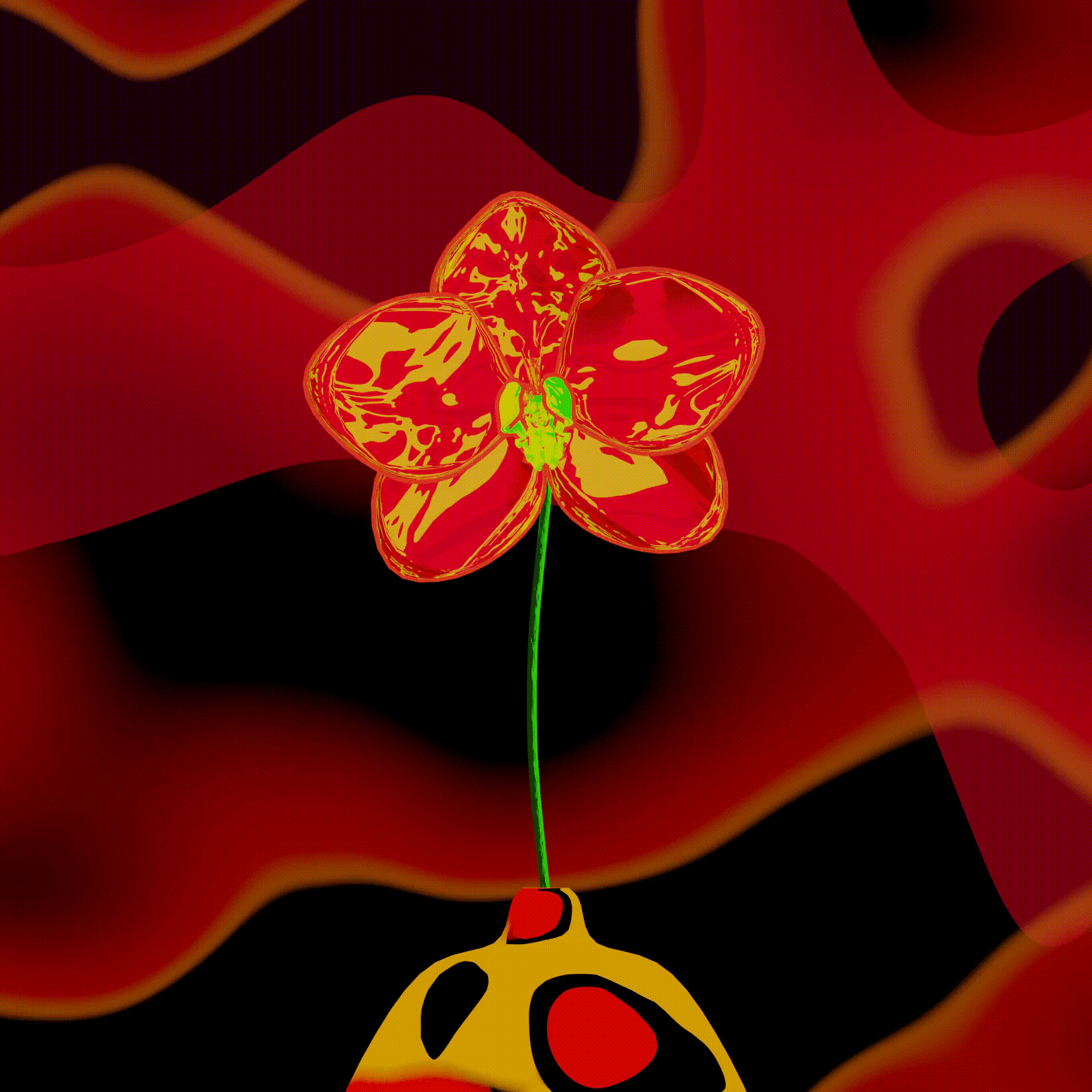 Phalaenopsis-Magma-
