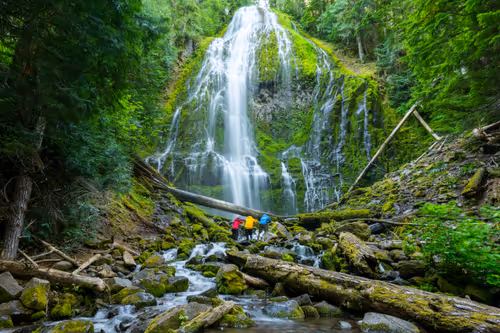 Item #85108885410868237358729630107342733558834048724782448774990413344474887356417 Media