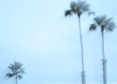 Item #13895770362792469734688406540771864633906230487145014712104887593366653501441 Media