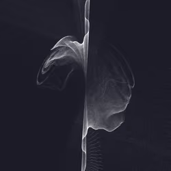 Ghost Coder's Poetry | Chaos Algorithm | v4.2 | #97