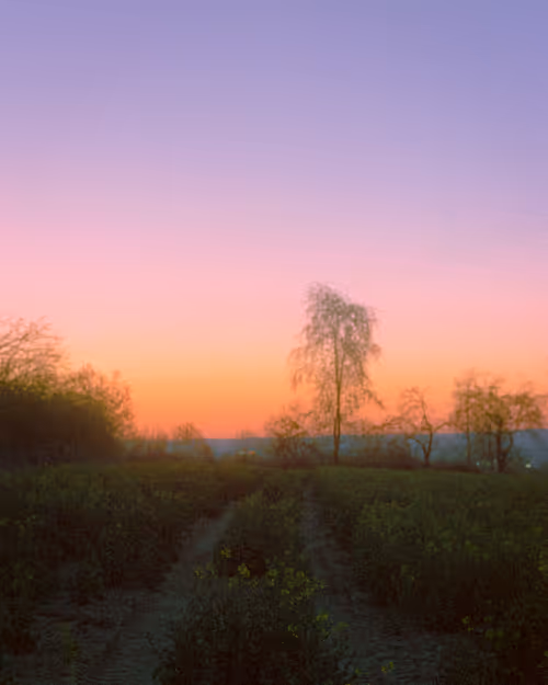 Item #72063473001551707938921919543400060516989299042125628765680198885059292299265 Media