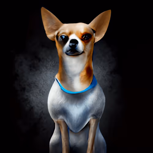 Item #48113757766326972276162939019858943574918231094005000881813397833991162167297 Media