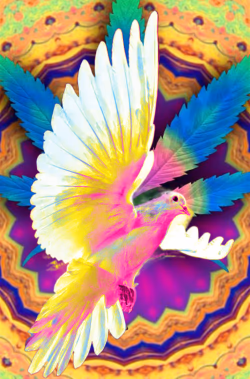 Item #8611177212973406975637787311467685402207376623163261380943493892674624159745 Media