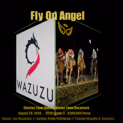Fly On Angel - Wazuzu Racing Collection