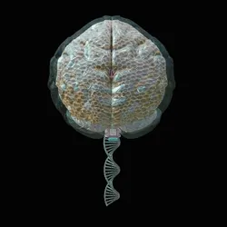 Degen Hive Mind #2/10 - Turquoise
