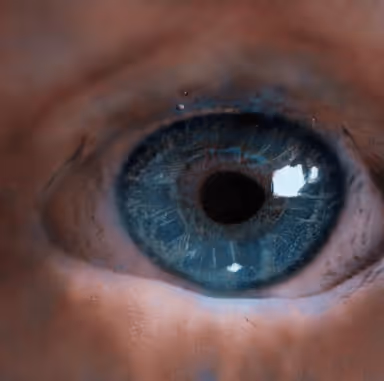 Item #73500473601639277492783536232978387069951164458626547516930003852037405540353 Media