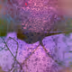 70604490685277326648873779810839926617058786015632510533327428100605083648001