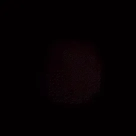 yyy