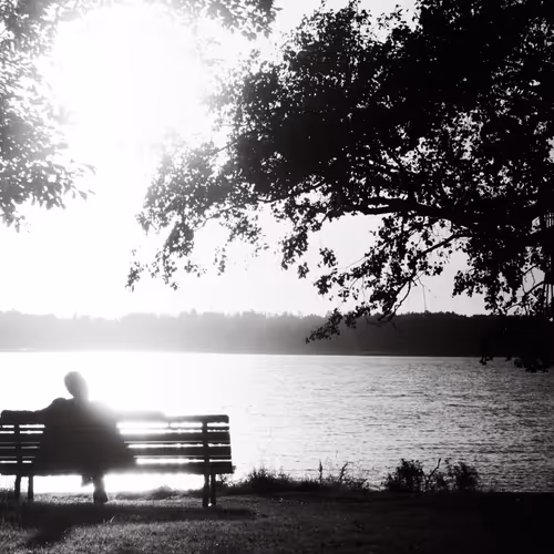 944955413634238325835746562904086500081877140248252026588839913542354206721