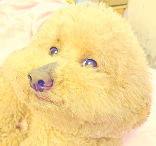 Item #28118648799816774761105243602691368894337380419413111794269179220304204922881 Media