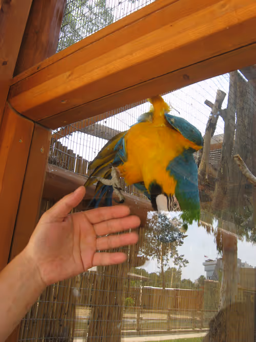 Item #49780404214023394125628081485635193078207366864253774489702248322410542530561 Media