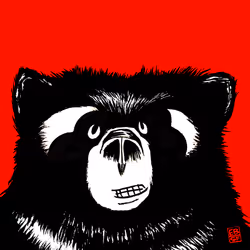 12256084541221245156135028986021526634136884921740396050173767502574716452865