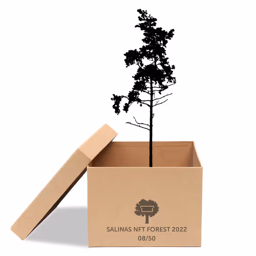 Item #63532776318757439562276927313719991273687356279339277108967620967327768510465 Media