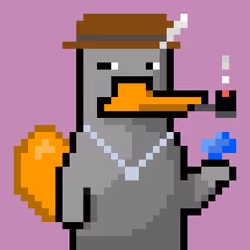 Platy Punk #2273