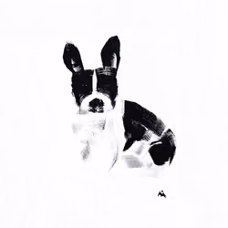 Miko Looking #Original