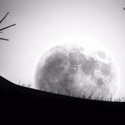 Darkwood Banner