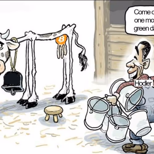 Bitcoin cow