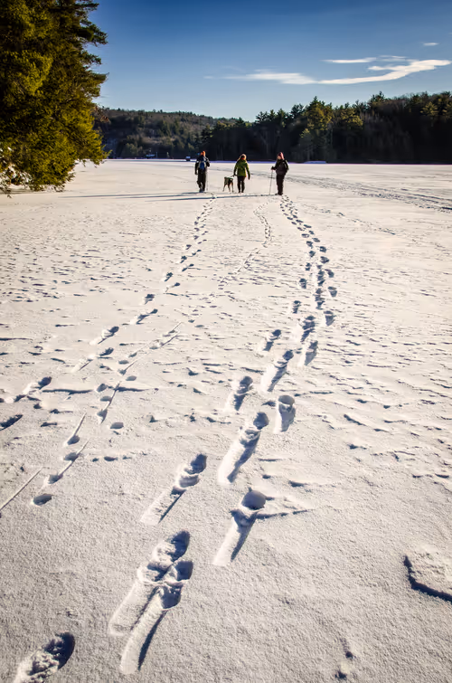 Item #2560167528831681655449026720249695031072996054742885035460294078447703031809 Media