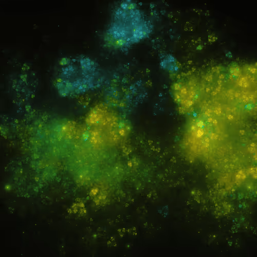 Fractalsbypix