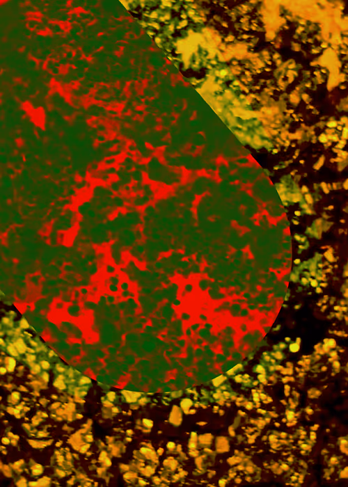 Item #1959722088444384967359689108687068082515891784654266495712107313266887229441 Media