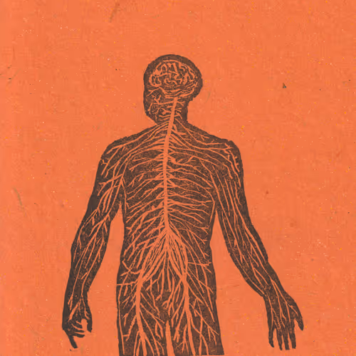 Item #61684408516102652291072427161593149596735809739114803432175219013958036881409 Media