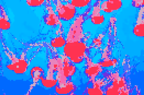Storm
