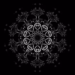 26185187814367725376940026929040218982398144969044494291860281262070051110913