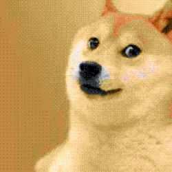 Doge pixel Rare #77