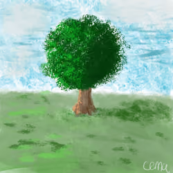 Lonely tree