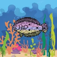 Etherfish #472