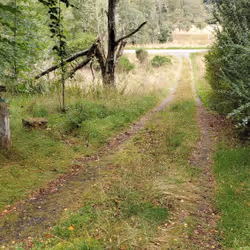 13473500973687785898796463285955460631407349614781281766798596502508831506433