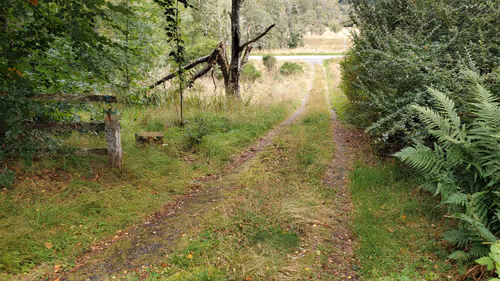 Item #13473500973687785898796463285955460631407349614781281766798596502508831506433 Media